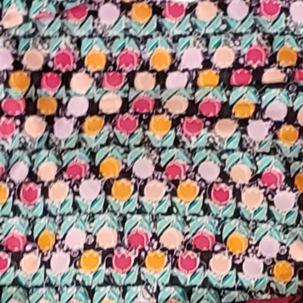 TC Lularoe Leggings